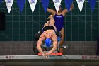 Swimming & Diving vs RWU  Swimming & Diving vs Roger Williams University. - Photo by Keith Nordstrom : Wheaton, Swimming